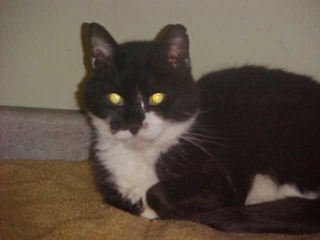 Billy