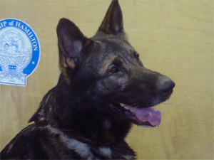 Duke