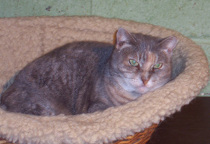 Gina